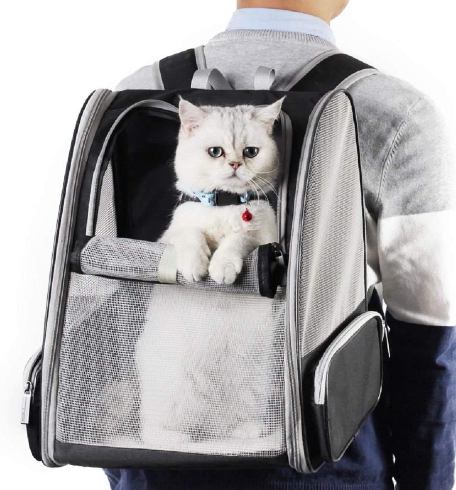 Innovative Traveler Bubble Backpack Pet Carriers for Cats and Dogs (Black) - FurrrBabies & More! - 744759313492