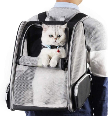 Innovative Traveler Bubble Backpack Pet Carriers for Cats and Dogs (Black) - FurrrBabies & More! - 744759313492
