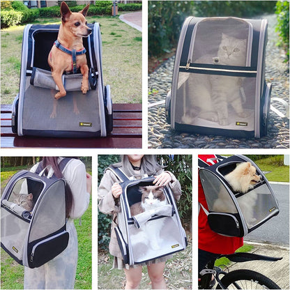 Innovative Traveler Bubble Backpack Pet Carriers for Cats and Dogs (Black) - FurrrBabies & More! - 744759313492