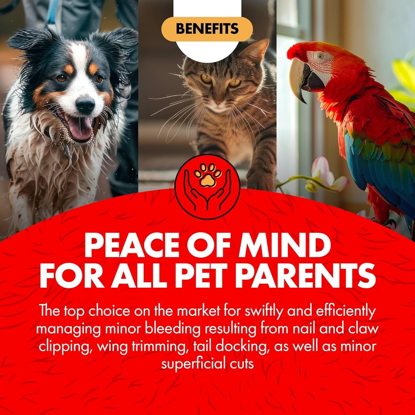 Kwik Stop Styptic Powder for Dogs, Cats and Birds, 6 Ounce, Fast - Acting Blood Stop Powder with Pain Relieving Benzocaine - FurrrBabies & More! - 744110429992