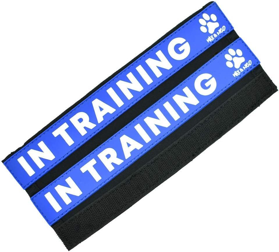 Leash Sleeves in Training - We Donate 1 for 1 to Dog Rescues for Every Product Sold (2 Sleeves, in Training) - FurrrBabies & More! - 313023847829