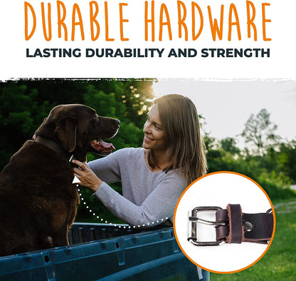 Leather Dog Collar - Genuine Distressed Leather - Strong Metal Buckle - Ultimate Comfort - Modern Style for All Dogs Breeds - Comfort Puppy Collar - (Medium - Brown) - FurrrBabies & More! - 7445028223261