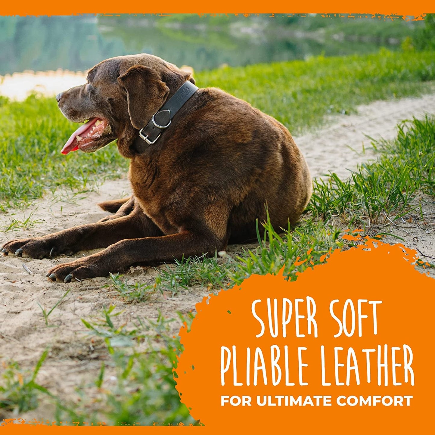 Leather Dog Collar - Genuine Distressed Leather - Strong Metal Buckle - Ultimate Comfort - Modern Style for All Dogs Breeds - Comfort Puppy Collar - (Medium - Brown) - FurrrBabies & More! - 7445028223261