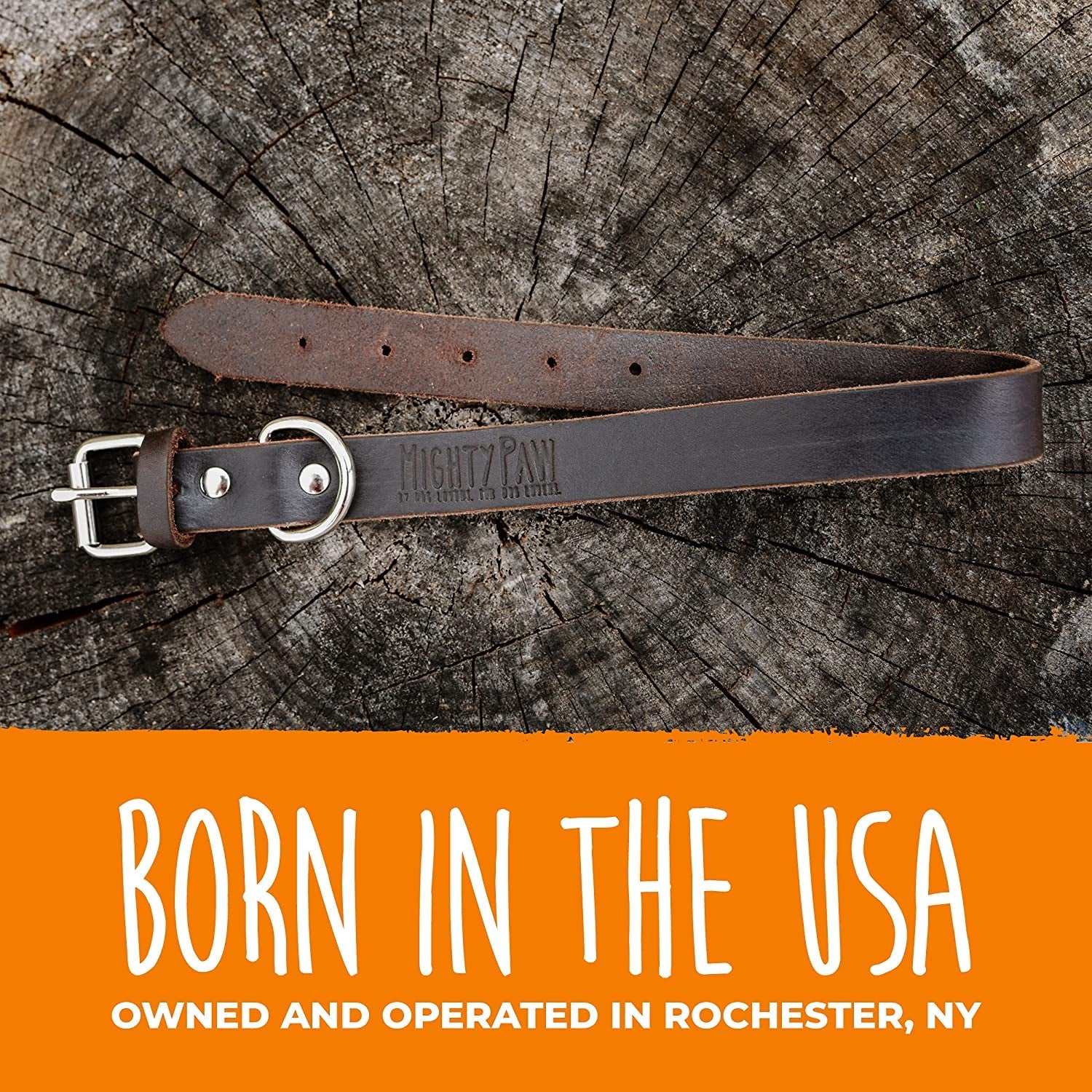 Leather Dog Collar - Genuine Distressed Leather - Strong Metal Buckle - Ultimate Comfort - Modern Style for All Dogs Breeds - Comfort Puppy Collar - (Medium - Brown) - FurrrBabies & More! - 7445028223261