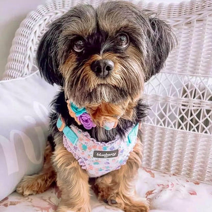 Made Well Lovely Floral Print Adjustable Dog Collar in Lavender with Detachable Flower Accessory, X - Small, Neck 7.5" - 10" - FurrrBabies & More! - 7445025491465