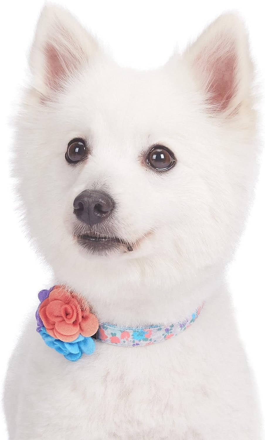 Made Well Lovely Floral Print Adjustable Dog Collar in Lavender with Detachable Flower Accessory, X - Small, Neck 7.5" - 10" - FurrrBabies & More! - 7445025491465