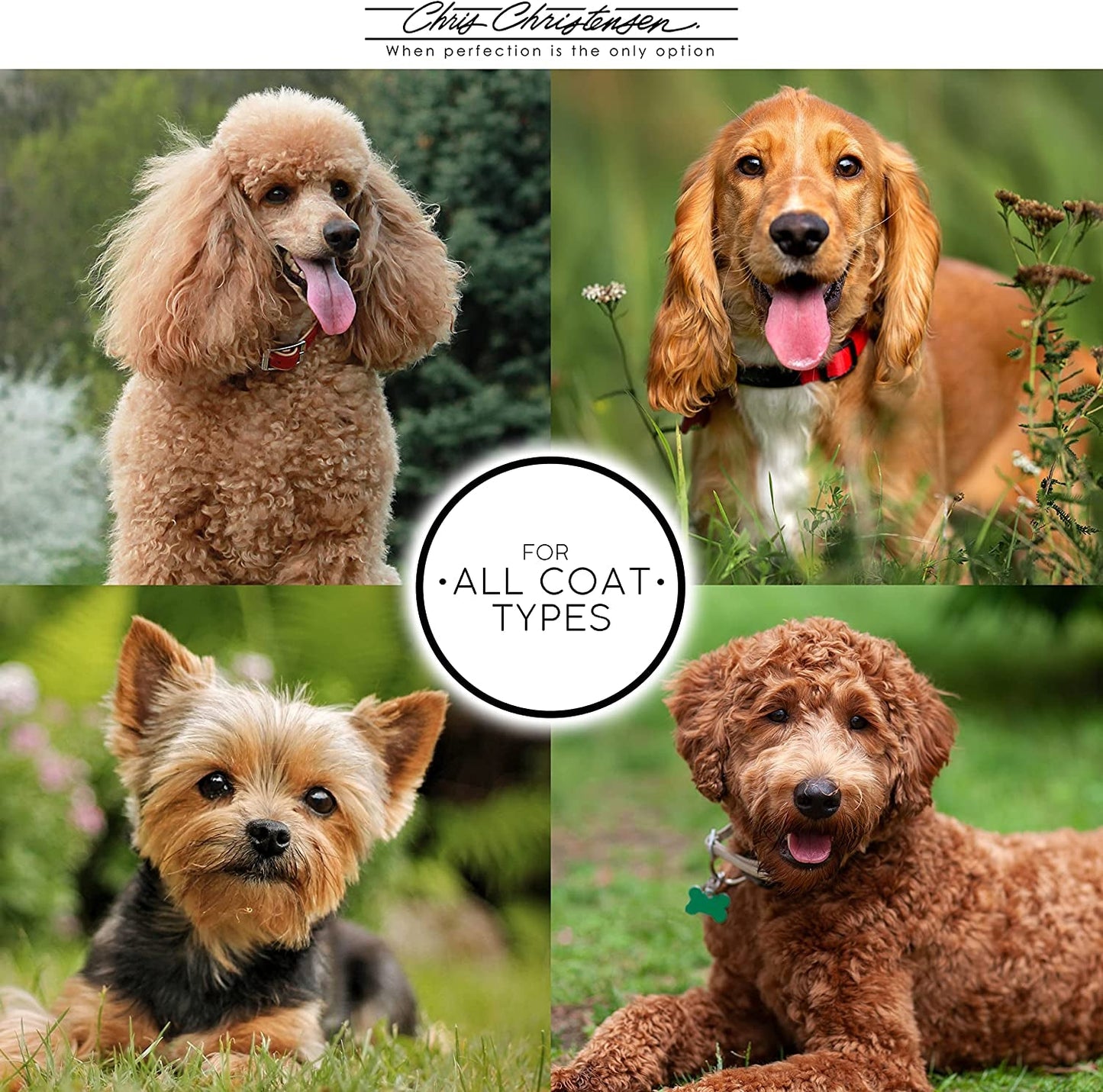 Mark VIII round Head Slicker Brush for Dogs, 12Mm Pins, Groom like a Pro, Handcrafted Lightweight Beechwood Ergonomic Handle, Stainless Steel Pins, A5VIII. Made in Germany. - FurrrBabies & More! - 313022347313