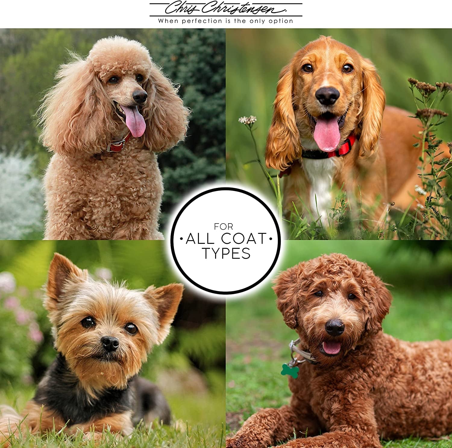 Mark VIII round Head Slicker Brush for Dogs, 12Mm Pins, Groom like a Pro, Handcrafted Lightweight Beechwood Ergonomic Handle, Stainless Steel Pins, A5VIII. Made in Germany. - FurrrBabies & More! - 313022347313