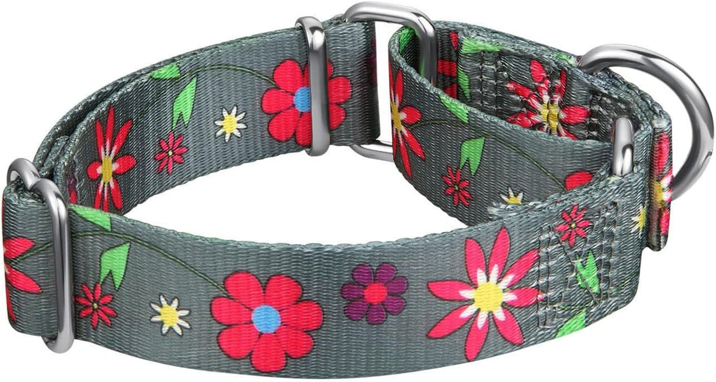 Martingale Collar Floral Print Dog Collar - No Pull Pet Collar, Heavy Duty Adjustable Dog Collar, Medium, Neck 14 Inch - 21 Inch, Sun Flower (Graphite Grey) - FurrrBabies & More! - 313017818804