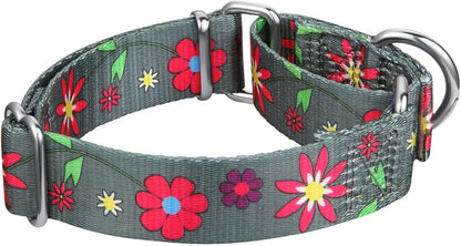 Martingale Collar Floral Print Dog Collar - No Pull Pet Collar, Heavy Duty Adjustable Dog Collar, Medium, Neck 14 Inch - 21 Inch, Sun Flower (Graphite Grey) - FurrrBabies & More! - 313017818804