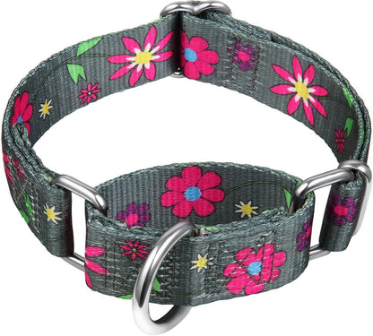 Martingale Collar Floral Print Dog Collar - No Pull Pet Collar, Heavy Duty Adjustable Dog Collar, Medium, Neck 14 Inch - 21 Inch, Sun Flower (Graphite Grey) - FurrrBabies & More! - 313017818804