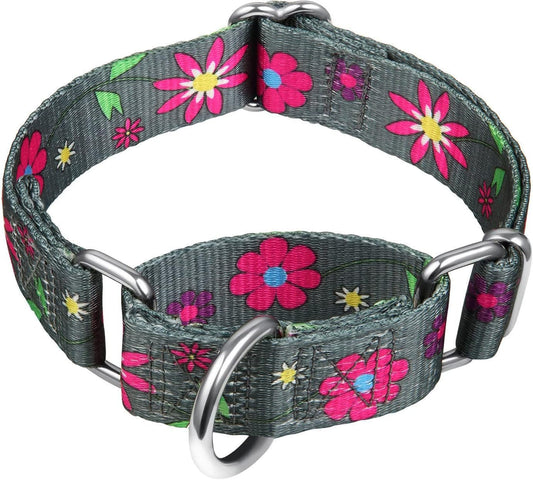 Martingale Collar Floral Print Dog Collar - No Pull Pet Collar, Heavy Duty Adjustable Dog Collar, Medium, Neck 14 Inch - 21 Inch, Sun Flower (Graphite Grey) - FurrrBabies & More! - 313017818804