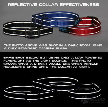 MAX Reflective Metal Buckle Dog Collar - We Donate a Collar to a Dog Rescue for Every Collar Sold (Large, RED) - FurrrBabies & More! - 744110059892