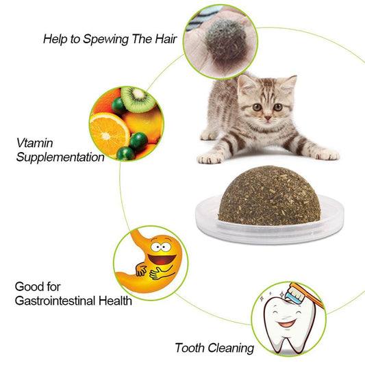 Minty Fun Catnip Ball Toy Set - Interactive Pet Supplies For Playful Cats - FurrrBabies & More! - Cat Toys
