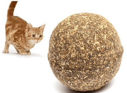 Minty Fun Catnip Ball Toy Set - Interactive Pet Supplies For Playful Cats - FurrrBabies & More! - Cat Toys