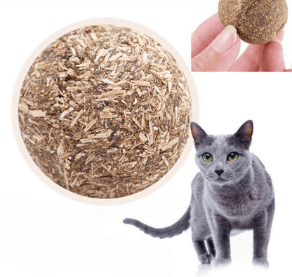 Minty Fun Catnip Ball Toy Set - Interactive Pet Supplies For Playful Cats - FurrrBabies & More! - Cat Toys