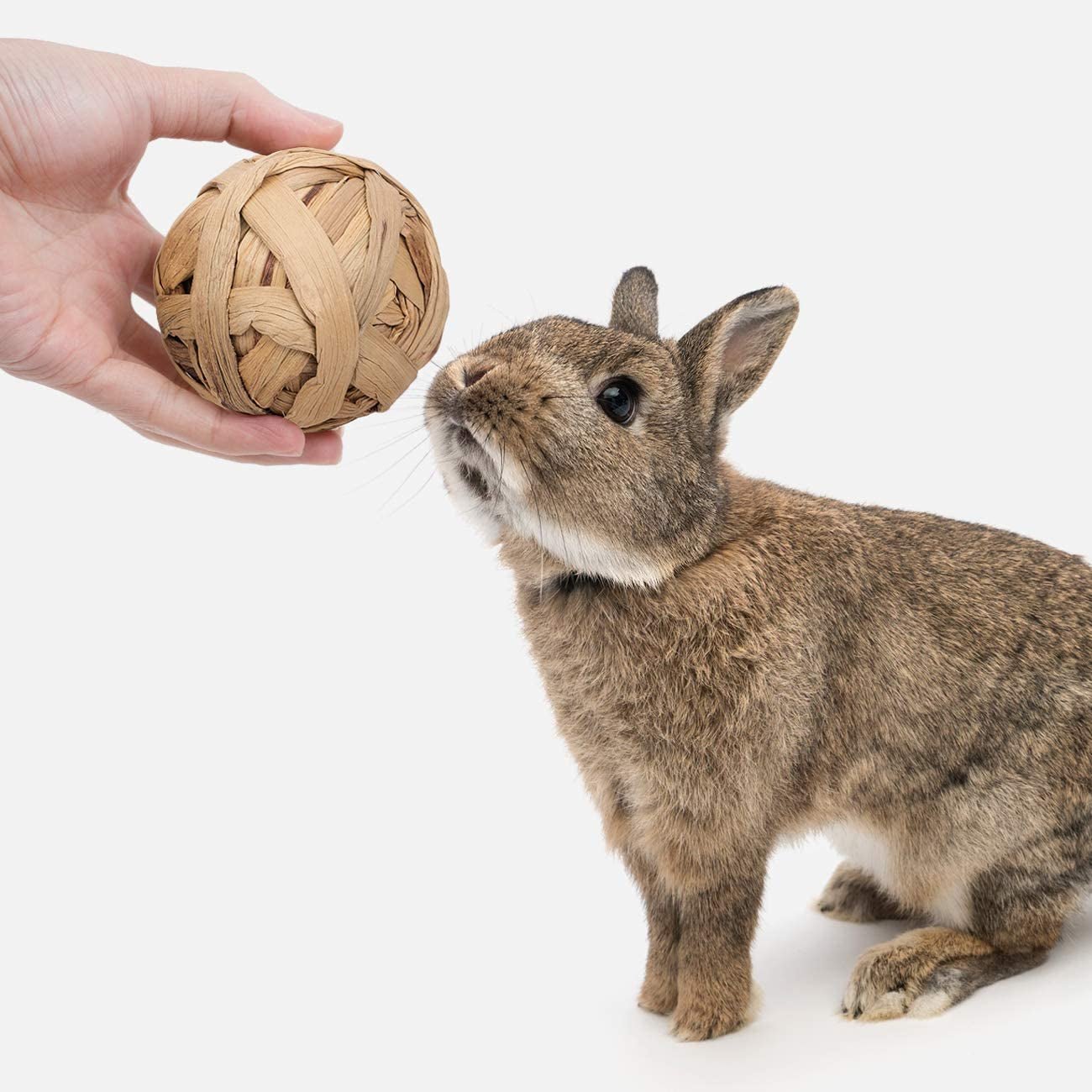 Natural Chew Activity Toys Fun Safe Hay Grass Pet Balls for Chinchilla Guinea Pig Rats Rabbits Hamster Gerbil Degu Bunny and Other Small Animals - FurrrBabies & More! - 313027960944
