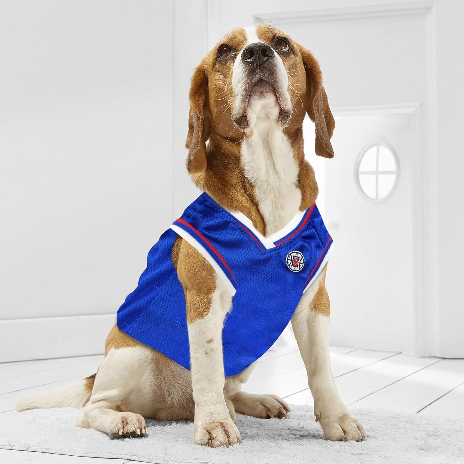 NBA LOS ANGELES CLIPPERS DOG Jersey, Small - Tank Top Basketball Pet Jersey - FurrrBabies & More! - 313113253264