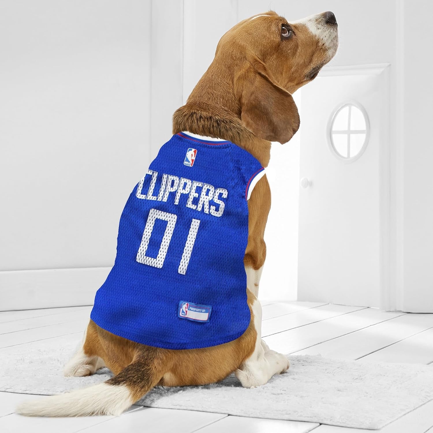 NBA LOS ANGELES CLIPPERS DOG Jersey, Small - Tank Top Basketball Pet Jersey - FurrrBabies & More! - 313113253264