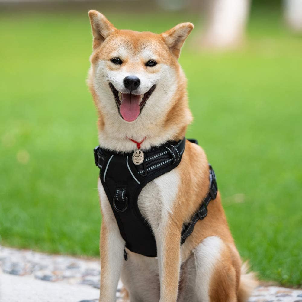 No Pull Dog Harness, Reflective Comfortable Vest Harness with Front & Back 2 Leash Attachments and Easy Control Handle Adjustable Soft Padded Pet Vest for Small to Large Dogs (Black,L) - FurrrBabies & More! - 7445037565574