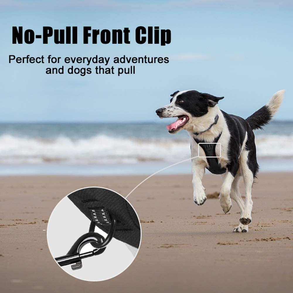 No Pull Dog Harness, Reflective Comfortable Vest Harness with Front & Back 2 Leash Attachments and Easy Control Handle Adjustable Soft Padded Pet Vest for Small to Large Dogs (Black,L) - FurrrBabies & More! - 7445037565574