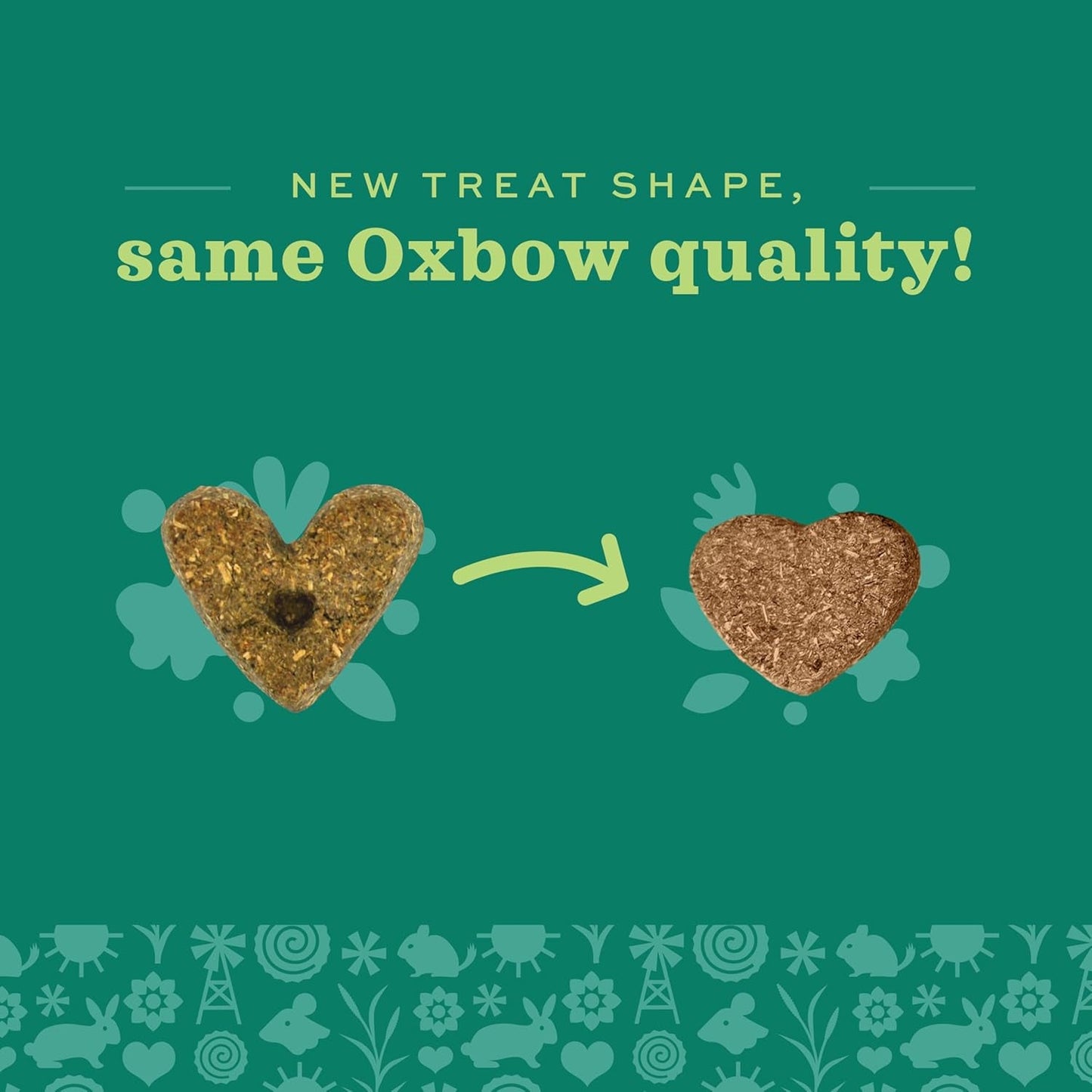 Organic Barley Biscuits, Rabbit & Guinea Pig Treats, Organic Hamster & Bunny Treats with Barley, Apple & Carrot, Made in USA, Small Pet Supplies, 2.65 Oz Bag - FurrrBabies & More! - 7445003617641