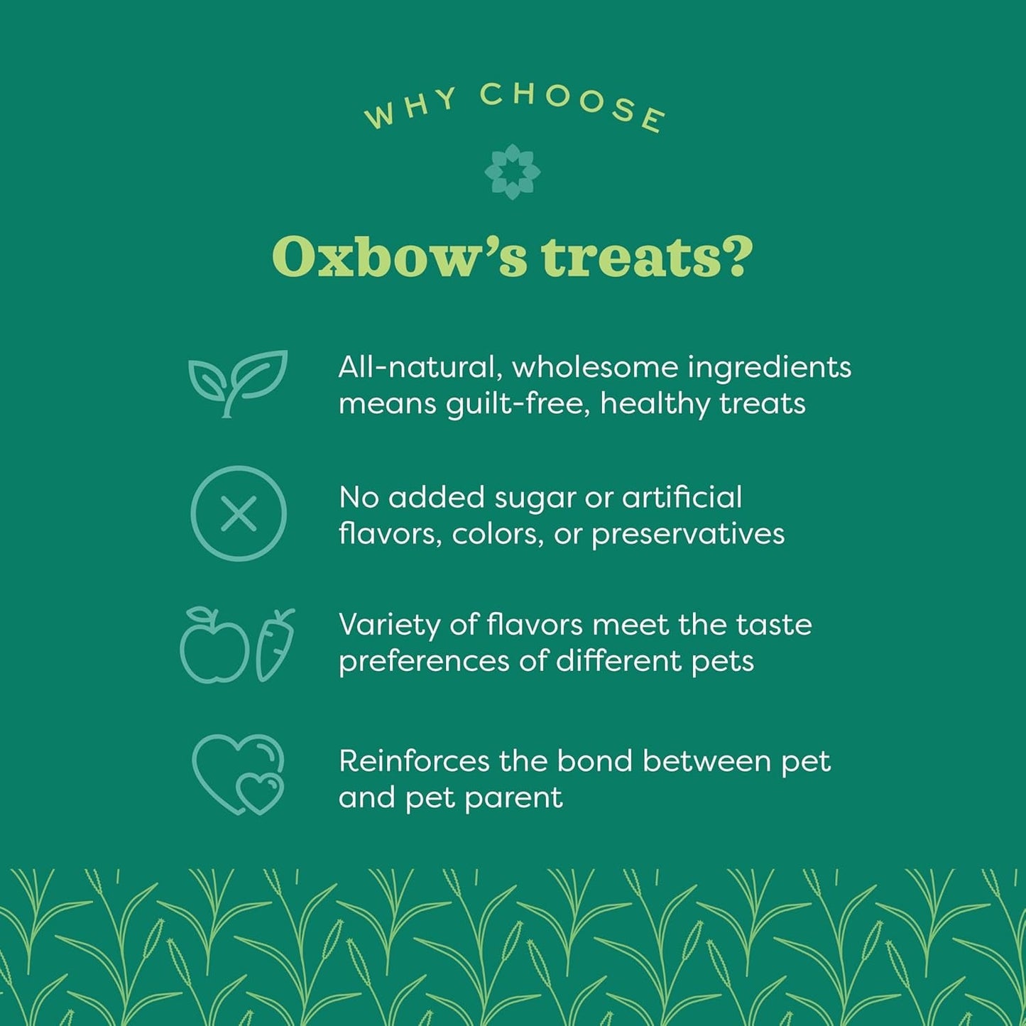 Organic Barley Biscuits, Rabbit & Guinea Pig Treats, Organic Hamster & Bunny Treats with Barley, Apple & Carrot, Made in USA, Small Pet Supplies, 2.65 Oz Bag - FurrrBabies & More! - 7445003617641