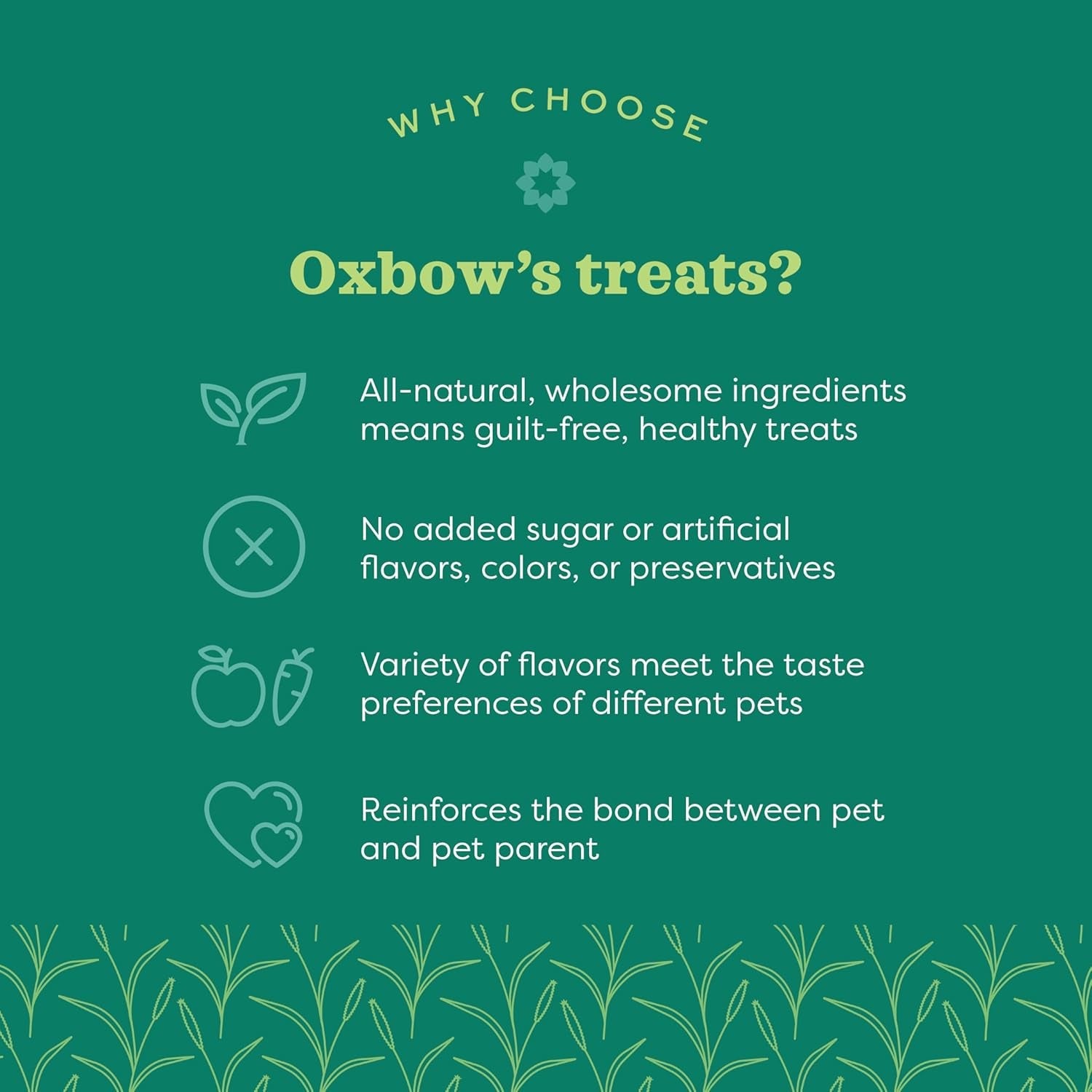 Organic Barley Biscuits, Rabbit & Guinea Pig Treats, Organic Hamster & Bunny Treats with Barley, Apple & Carrot, Made in USA, Small Pet Supplies, 2.65 Oz Bag - FurrrBabies & More! - 7445003617641
