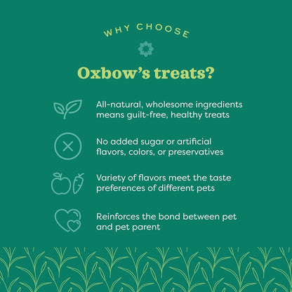 Organic Barley Biscuits, Rabbit & Guinea Pig Treats, Organic Hamster & Bunny Treats with Barley, Apple & Carrot, Made in USA, Small Pet Supplies, 2.65 Oz Bag - FurrrBabies & More! - 7445003617641