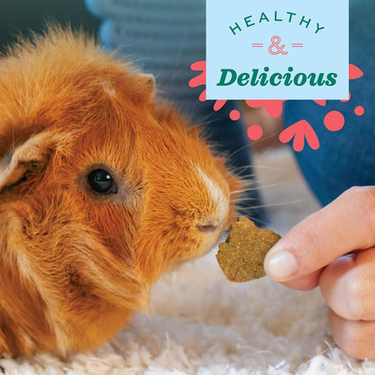 Organic Barley Biscuits, Rabbit & Guinea Pig Treats, Organic Hamster & Bunny Treats with Barley, Apple & Carrot, Made in USA, Small Pet Supplies, 2.65 Oz Bag - FurrrBabies & More! - 7445003617641