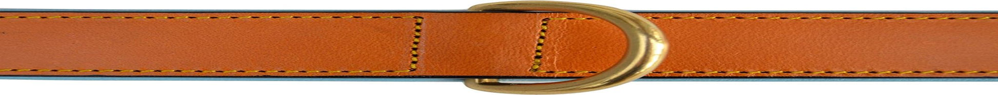 Padded Leather Dog Collar, Tan and Teal, Size Medium, 20" Long X 1" Wide, Neck Size 14.5" to 17.5" Inches - FurrrBabies & More! - 313039612664