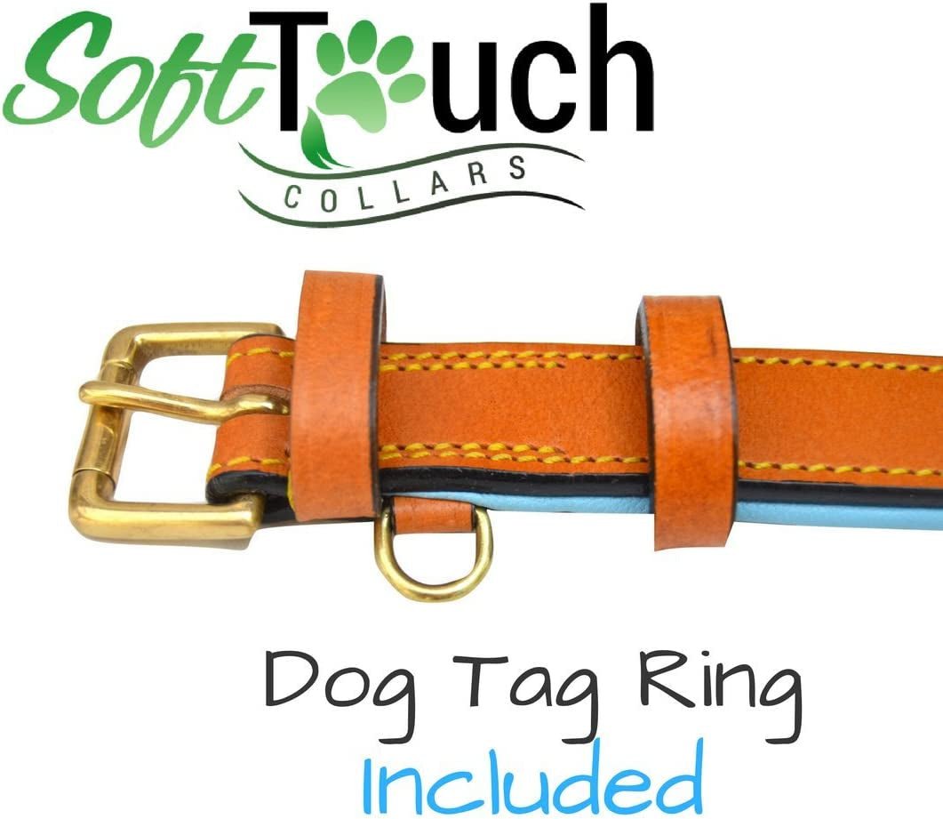 Padded Leather Dog Collar, Tan and Teal, Size Medium, 20" Long X 1" Wide, Neck Size 14.5" to 17.5" Inches - FurrrBabies & More! - 313039612664