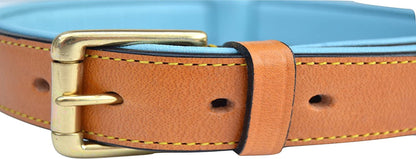 Padded Leather Dog Collar, Tan and Teal, Size Medium, 20" Long X 1" Wide, Neck Size 14.5" to 17.5" Inches - FurrrBabies & More! - 313039612664