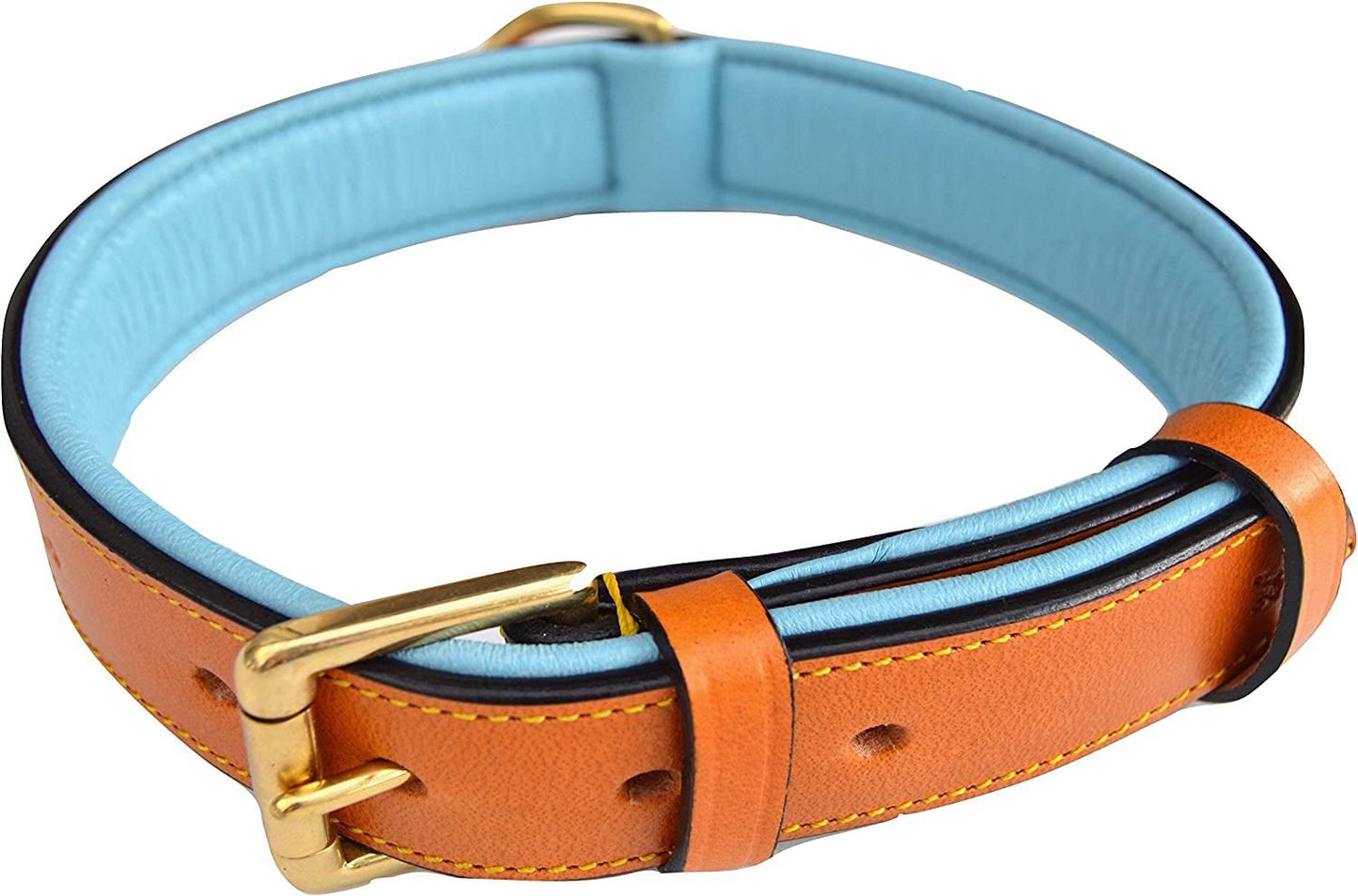 Padded Leather Dog Collar, Tan and Teal, Size Medium, 20" Long X 1" Wide, Neck Size 14.5" to 17.5" Inches - FurrrBabies & More! - 313039612664