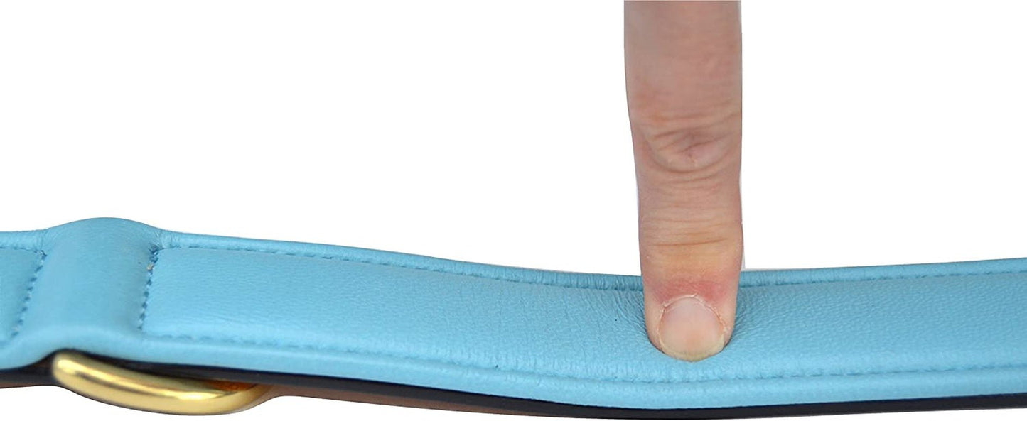 Padded Leather Dog Collar, Tan and Teal, Size Medium, 20" Long X 1" Wide, Neck Size 14.5" to 17.5" Inches - FurrrBabies & More! - 313039612664