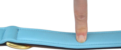 Padded Leather Dog Collar, Tan and Teal, Size Medium, 20" Long X 1" Wide, Neck Size 14.5" to 17.5" Inches - FurrrBabies & More! - 313039612664