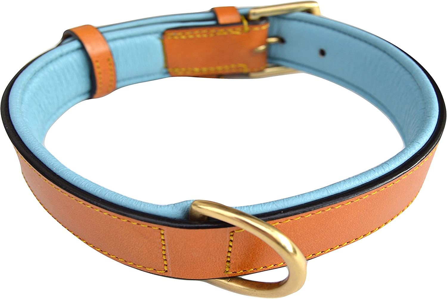 Padded Leather Dog Collar, Tan and Teal, Size Medium, 20" Long X 1" Wide, Neck Size 14.5" to 17.5" Inches - FurrrBabies & More! - 313039612664
