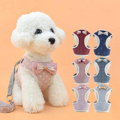 Pet Adventure Harness - FurrrBabies & More! - Cat Leashes, Collars & Harnesses