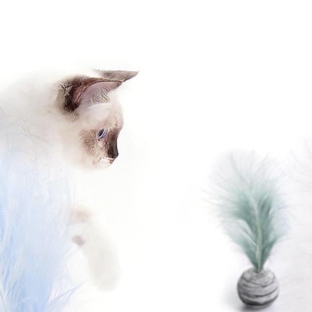 Pet Ball with feather - FurrrBabies & More! - Pet toys