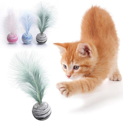 Pet Ball with feather - FurrrBabies & More! - Pet toys