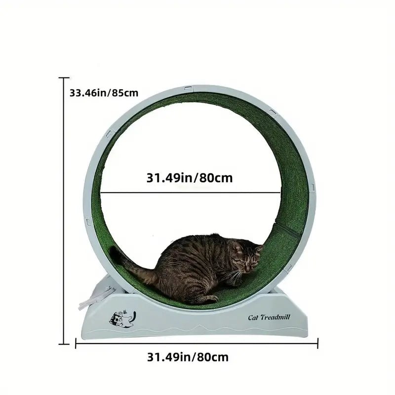 Pet Fitness Wheel - Interactive Treadmill for Cats and Dogs Grey - FurrrBabies & More! - 9362547127475Pet Supplies