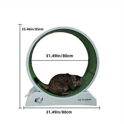 Pet Fitness Wheel - Interactive Treadmill for Cats and Dogs Grey - FurrrBabies & More! - 9362547127475Pet Supplies