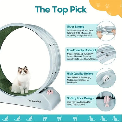 Pet Fitness Wheel - Interactive Treadmill for Cats and Dogs Grey - FurrrBabies & More! - 9362547127475Pet Supplies