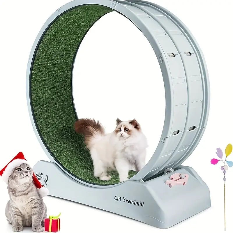 Pet Fitness Wheel - Interactive Treadmill for Cats and Dogs Grey - FurrrBabies & More! - 9362547127475Pet Supplies