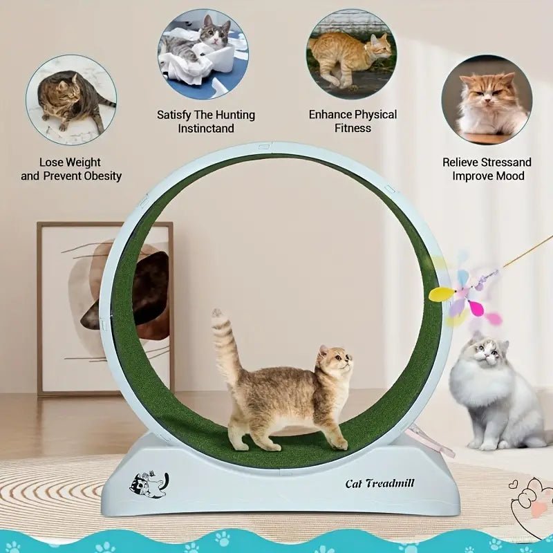 Pet Fitness Wheel - Interactive Treadmill for Cats and Dogs Grey - FurrrBabies & More! - 9362547127475Pet Supplies