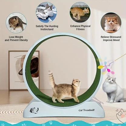 Pet Fitness Wheel - Interactive Treadmill for Cats and Dogs Grey - FurrrBabies & More! - 9362547127475Pet Supplies
