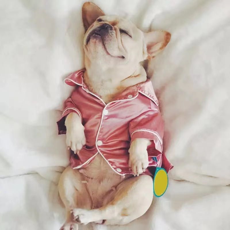 Pet Pajama - FurrrBabies & More! - Outfits for cats