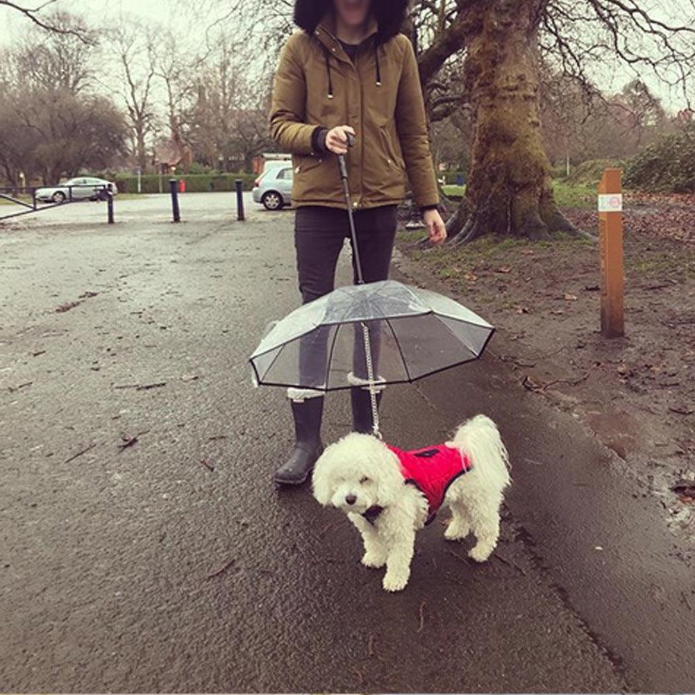 Pet Pawsome Clear Canopy - The Ultimate Pet Umbrella - FurrrBabies & More! - Dog Collars, Leashes & Harnesses
