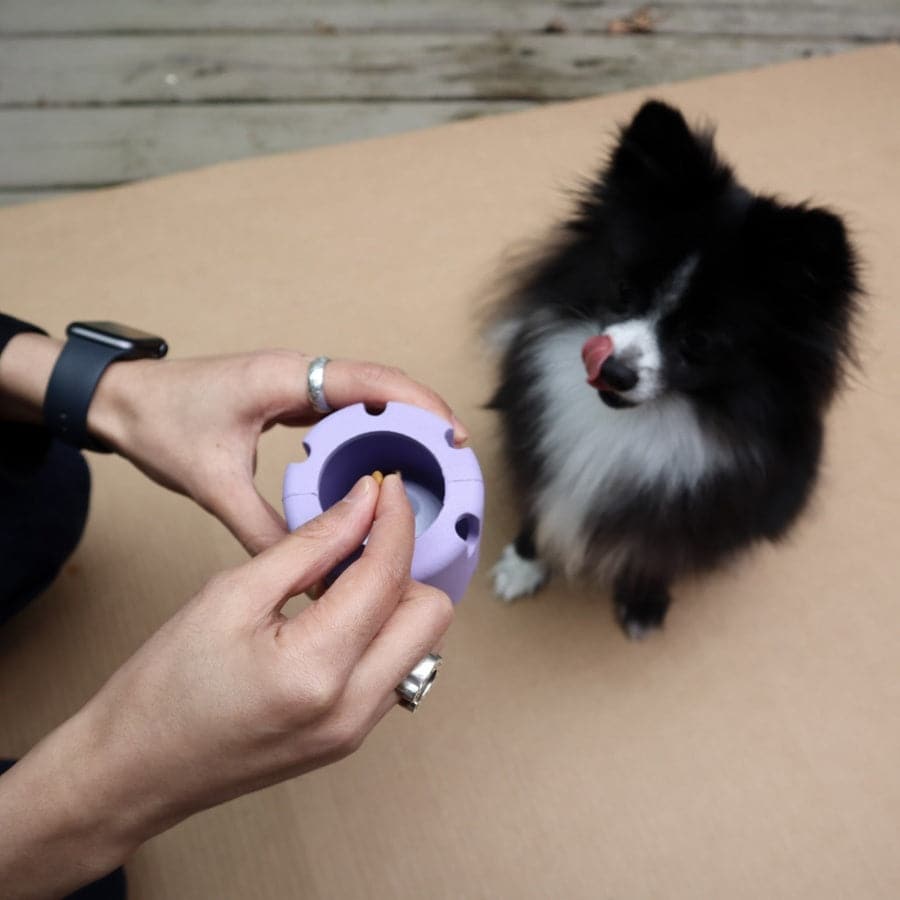 Pet Playtime Set - FurrrBabies & More! - Home & Kitchen