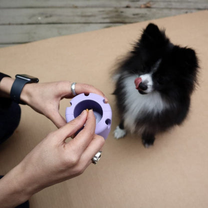 Pet Playtime Set - FurrrBabies & More! - Home & Kitchen